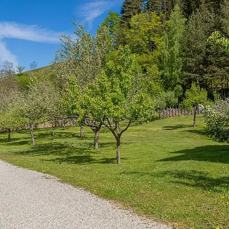 Apartamento Organic Homestead Mikl