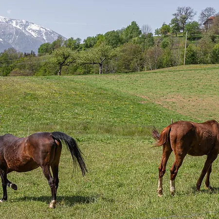 Organic Homestead Mikl سلوفينج غرادتس
