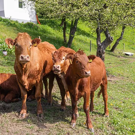 Organic Homestead Mikl * Slovenj Gradec